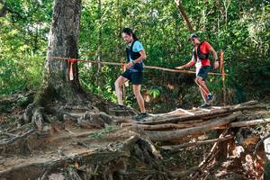 BIB: 
                            <button type="button" onclick="openModal(27552654)" class="btn btn-primary btn-sm float-right btn-popup" data-toggle="modal" data-target=".modal-high-quality">
                        <i class="fas fa-shopping-cart"></i> Add to Cart
                    </button>
                                            <button type="button" onclick="isThisMe(27552654, true)" class="btn btn-success btn-sm float-right btn-popup btn-isme hidden" data-toggle="tooltip" data-placement="bottom" title="นี่คือรูปของคุณใช่ไหม คลิกที่นี่เพื่อเอาเข้าอัลบั้ม">
                        <i class="fas fa-plus"></i> Add to album
                    </button>
                    <button type="button" onclick="isThisMe(27552654, false)" class="btn btn-warning btn-sm float-right btn-popup btn-isnotme hidden">
                        <i class="fas fa-ban"></i> Remove from album
                    </button>